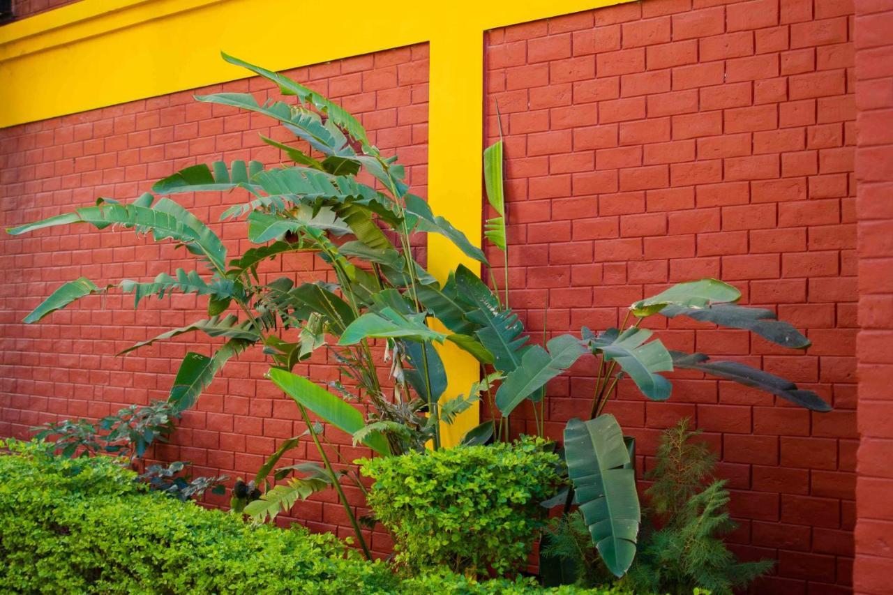 Mvt Guesthouse & Restaurant ริชิเคช ภายนอก รูปภาพ