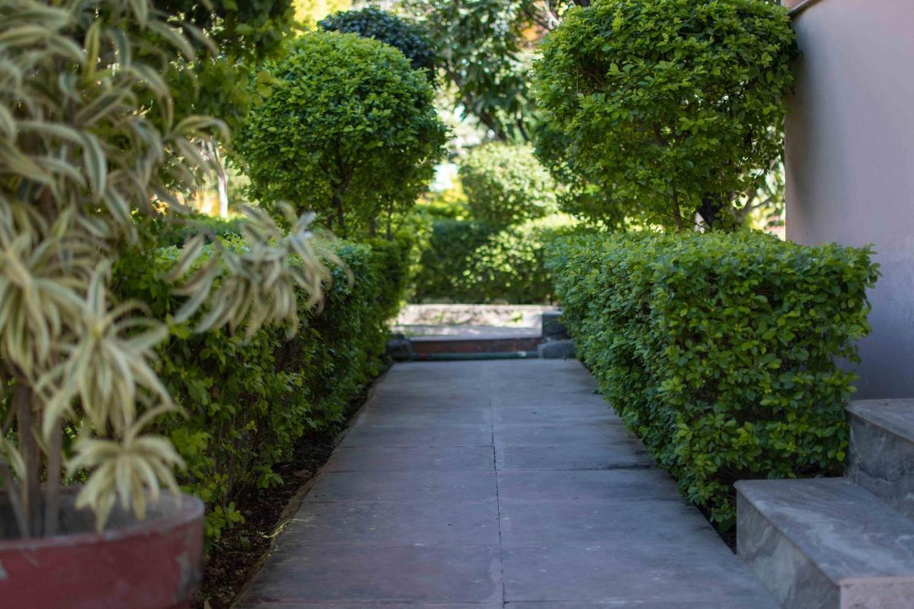 Mvt Guesthouse & Restaurant ริชิเคช ภายนอก รูปภาพ