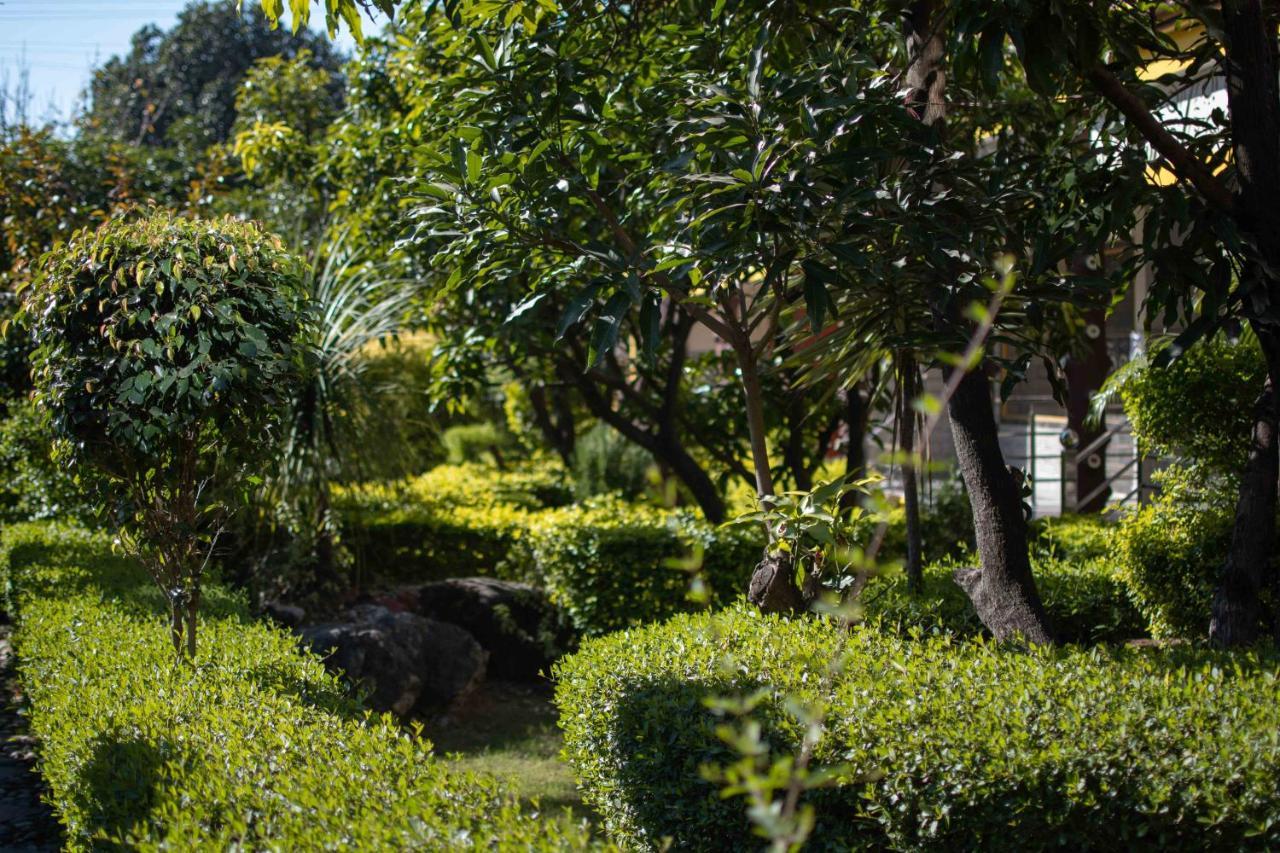 Mvt Guesthouse & Restaurant ริชิเคช ภายนอก รูปภาพ